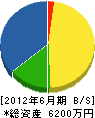 富士見商会 貸借対照表 2012年6月期