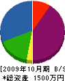ホープ 貸借対照表 2009年10月期