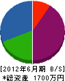 小林電機商会 貸借対照表 2012年6月期