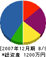 浅山塗工店 貸借対照表 2007年12月期