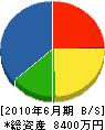下川工業 貸借対照表 2010年6月期