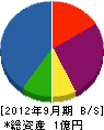 沢井建設 貸借対照表 2012年9月期