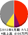 田中電設 損益計算書 2012年6月期