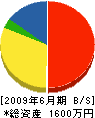 田邊水道工業所 貸借対照表 2009年6月期