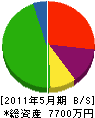 松村建設 貸借対照表 2011年5月期