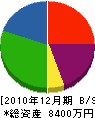 佐々木電気店 貸借対照表 2010年12月期