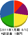 柴田電機工業 貸借対照表 2011年1月期