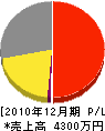 渡辺鉄工所 損益計算書 2010年12月期