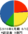 相川管理 貸借対照表 2010年6月期