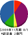 ハヤシ造園土木 貸借対照表 2009年11月期