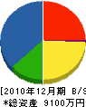 京誠工業 貸借対照表 2010年12月期