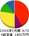 渡邉工業 貸借対照表 2009年5月期