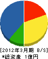 渡邊建設 貸借対照表 2012年3月期