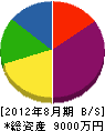 祥電舍 貸借対照表 2012年8月期