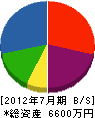 中九州インテック 貸借対照表 2012年7月期