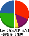 水澤電機 貸借対照表 2012年4月期