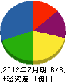山崎建設 貸借対照表 2012年7月期