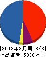 南北海道塗装工業（同） 貸借対照表 2012年3月期