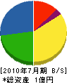 渡辺土建 貸借対照表 2010年7月期