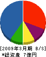 北海道サンキット 貸借対照表 2009年3月期