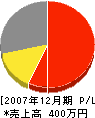 松之園 損益計算書 2007年12月期