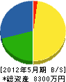 滋賀大和電設工業 貸借対照表 2012年5月期