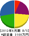 櫻井設備 貸借対照表 2012年6月期