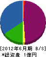前田重工業 貸借対照表 2012年6月期