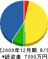 富井電気 貸借対照表 2009年12月期