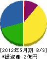 辻作建設 貸借対照表 2012年5月期