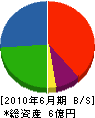 溝田農材 貸借対照表 2010年6月期
