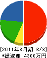 先崎工務店 貸借対照表 2011年6月期