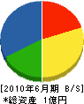 上田建設 貸借対照表 2010年6月期