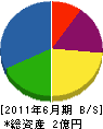 日栄工業 貸借対照表 2011年6月期