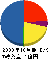 九州システム 貸借対照表 2009年10月期