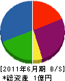 小川建興 貸借対照表 2011年6月期