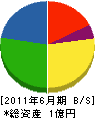 斉藤建業 貸借対照表 2011年6月期
