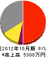 ＣＳ須藤 損益計算書 2012年10月期