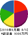 渡辺建設 貸借対照表 2010年6月期