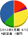 佐藤設備 貸借対照表 2012年6月期