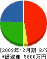 村井塗装 貸借対照表 2009年12月期