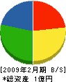 渡辺興業 貸借対照表 2009年2月期