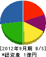 安間鉄工所 貸借対照表 2012年9月期