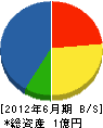 鳥井建設 貸借対照表 2012年6月期