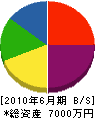 面川興業 貸借対照表 2010年6月期