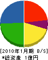 柴田工業 貸借対照表 2010年1月期