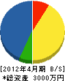 神子設備 貸借対照表 2012年4月期