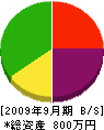 田＊興業 貸借対照表 2009年9月期