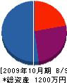 丸豊電工 貸借対照表 2009年10月期