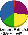 熊谷電工 貸借対照表 2010年6月期